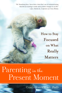 Parenting In Present Moment Cover Small